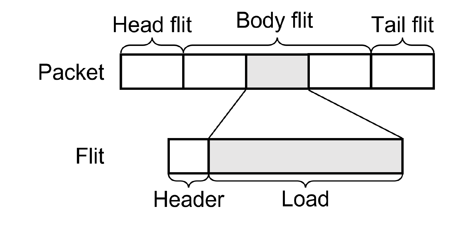 fig2